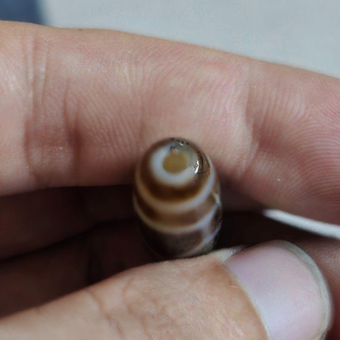 Vintage old himalayan indo tibetan agate beads turtle pattern