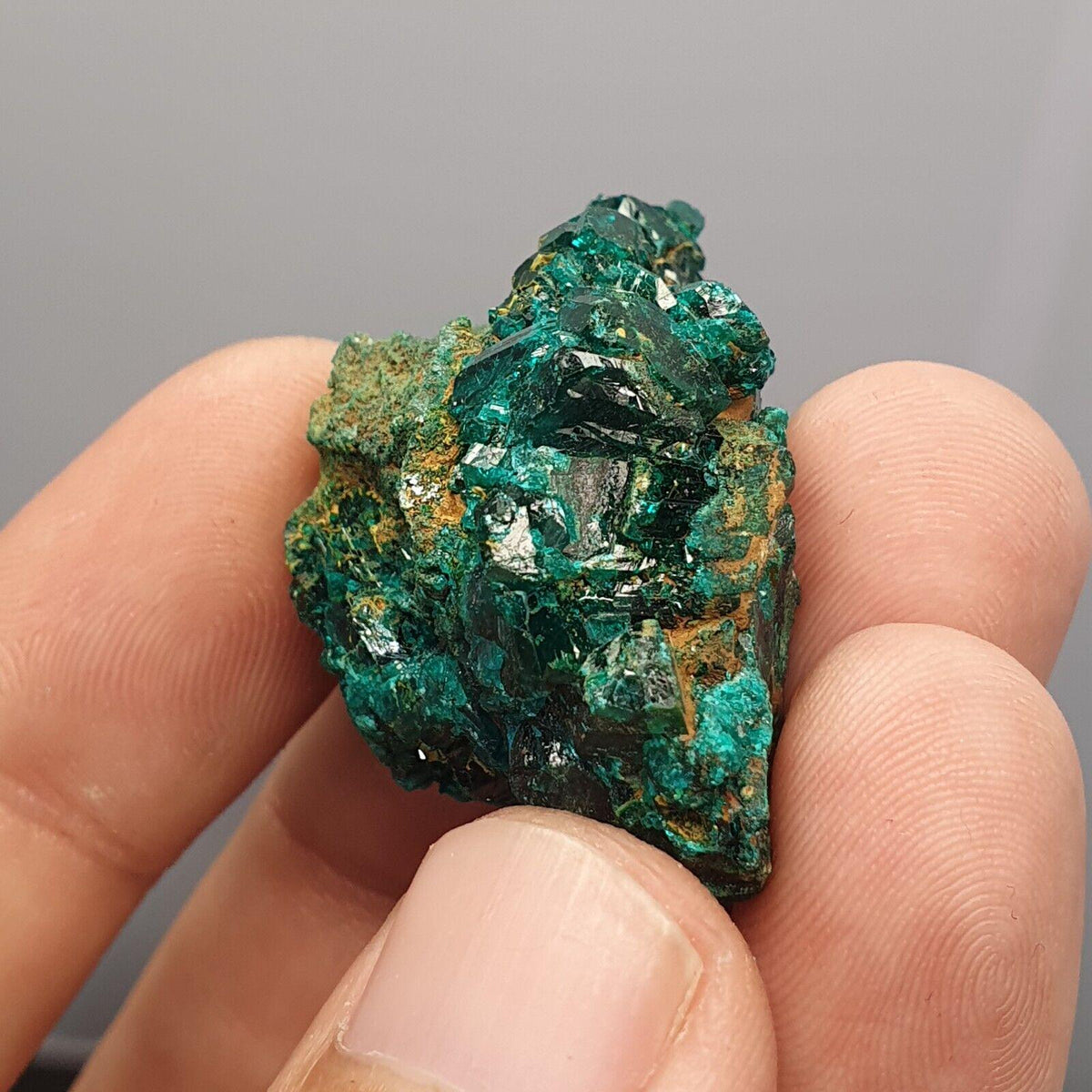 Green Dioptase Crystal Specimen: Congo Druzy Mineral (122 Carats)