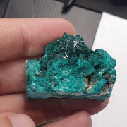 Green Dioptase Crystal Specimen: Congo Druzy Crystals, 140 Carats