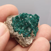 Green Dioptase Crystal Specimen: Congo Druzy Mineral, 65 Carats