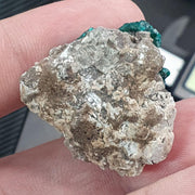 Green Dioptase Crystal Specimen: Congo Druzy Mineral, 65 Carats