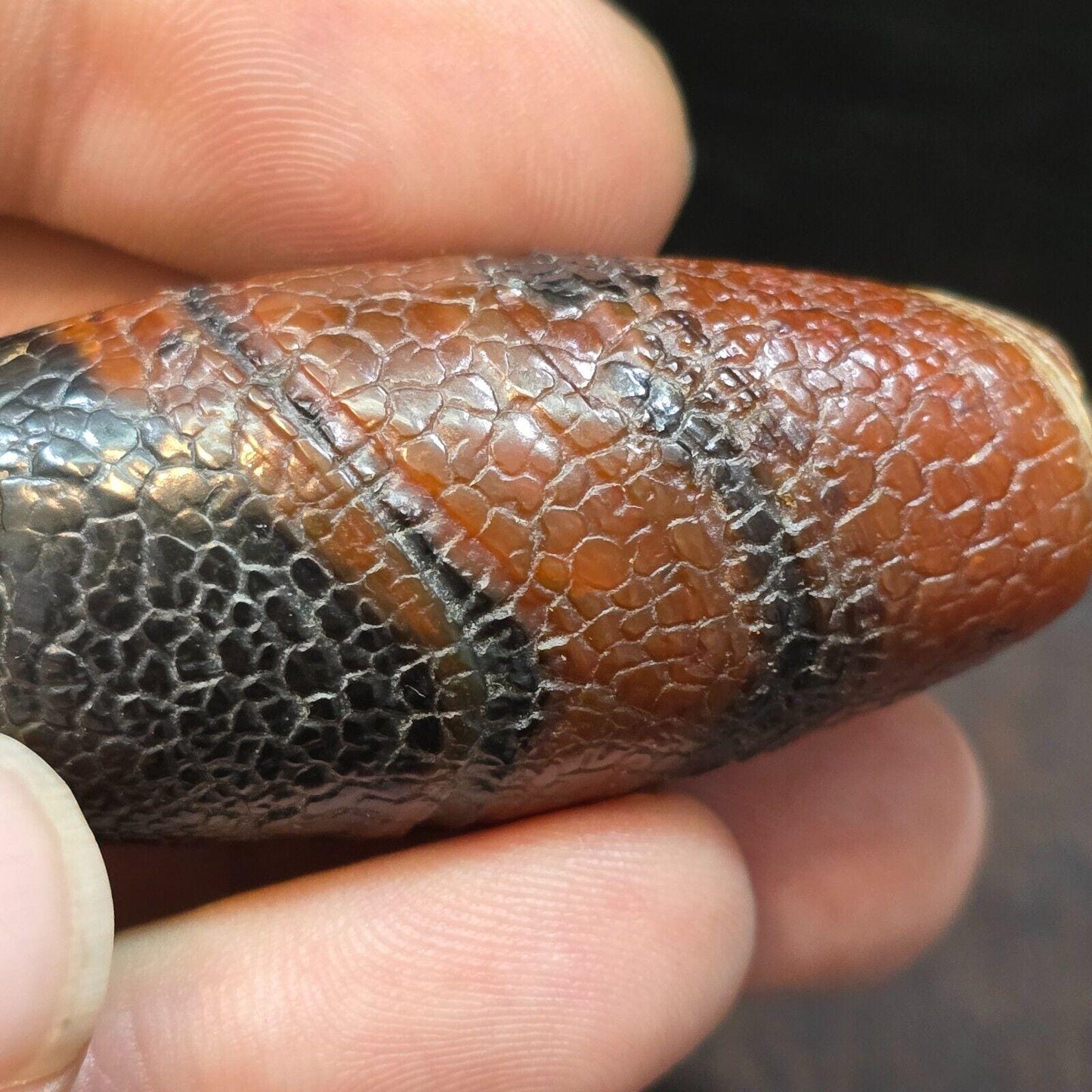 Dragon Skin Agate Bead: Himalayan Tibetan Amulet