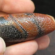Dragon Skin Agate Bead: Himalayan Tibetan Amulet