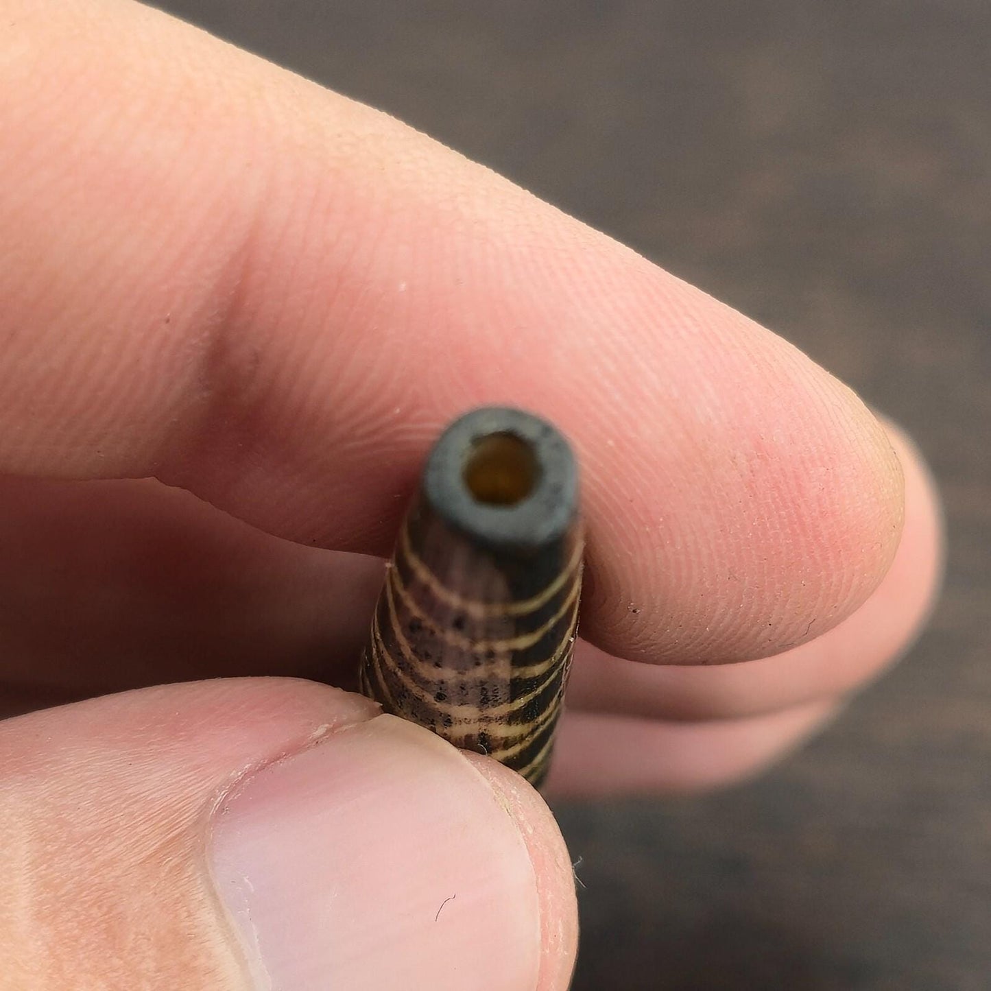 Rare pattern large south asian burmese old palmwood pyu pumtek amulet bead