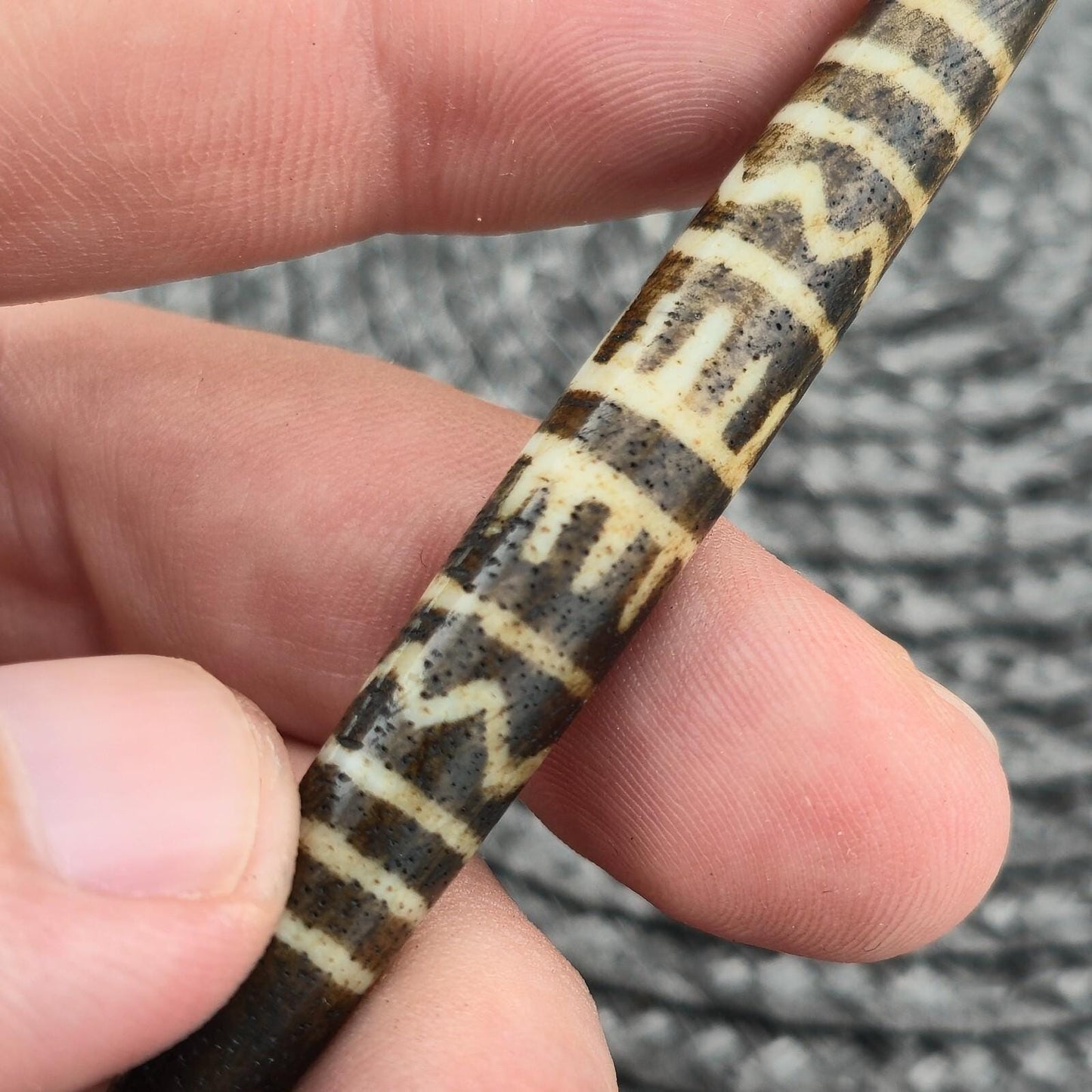 Large south asian burmese old petrified wood pyu pumtek amulet bead