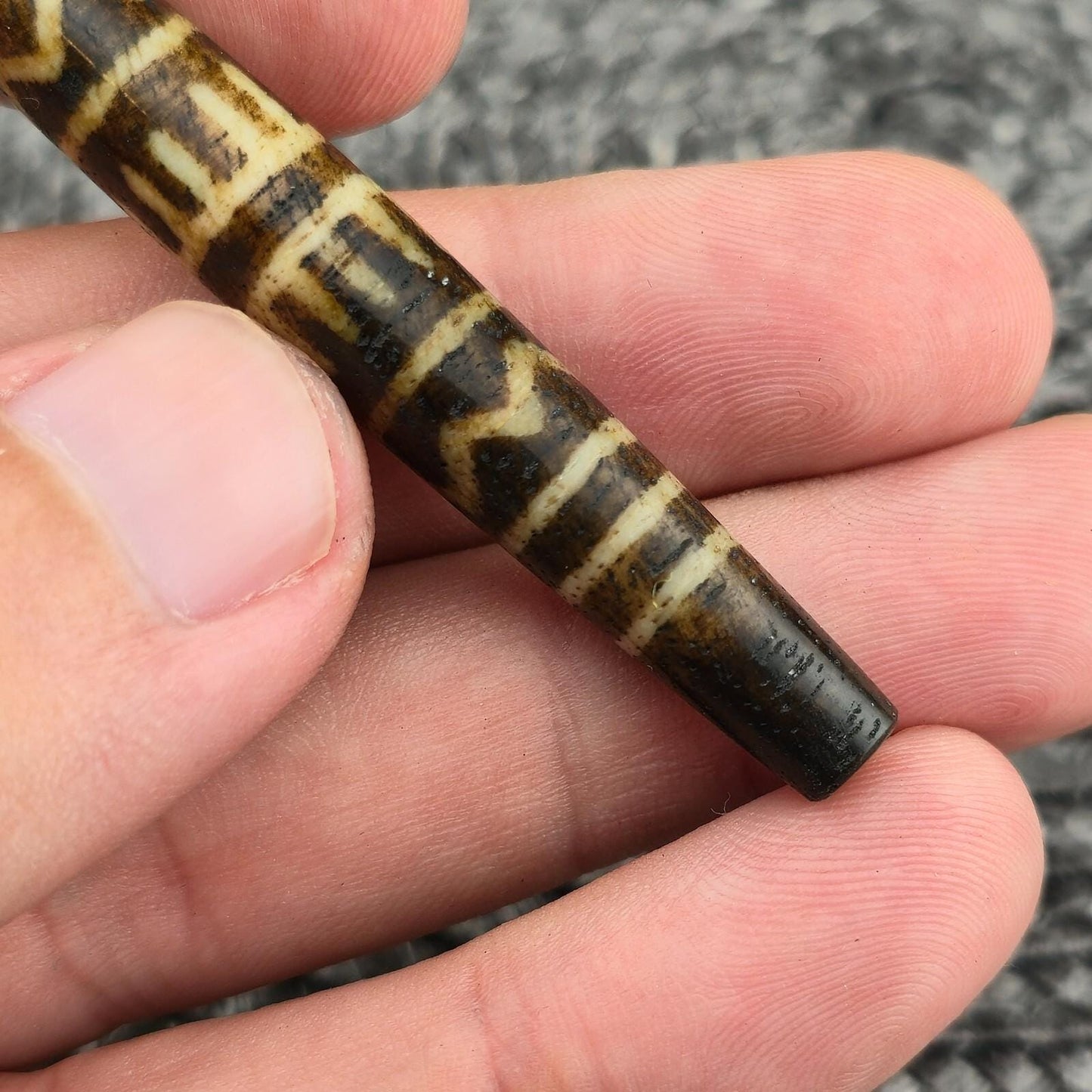 Large south asian burmese old petrified wood pyu pumtek amulet bead