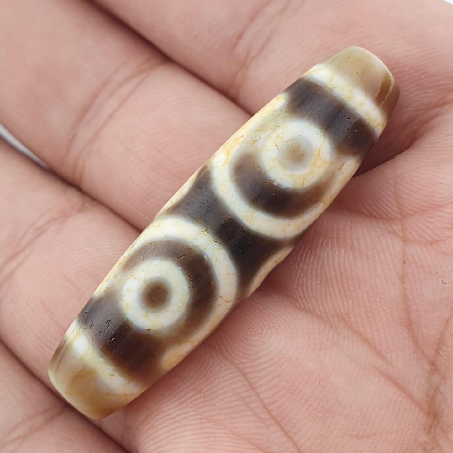 Circle 6 eyes in eyes unique pattern himalayan tibetan agate dzi bead amulet