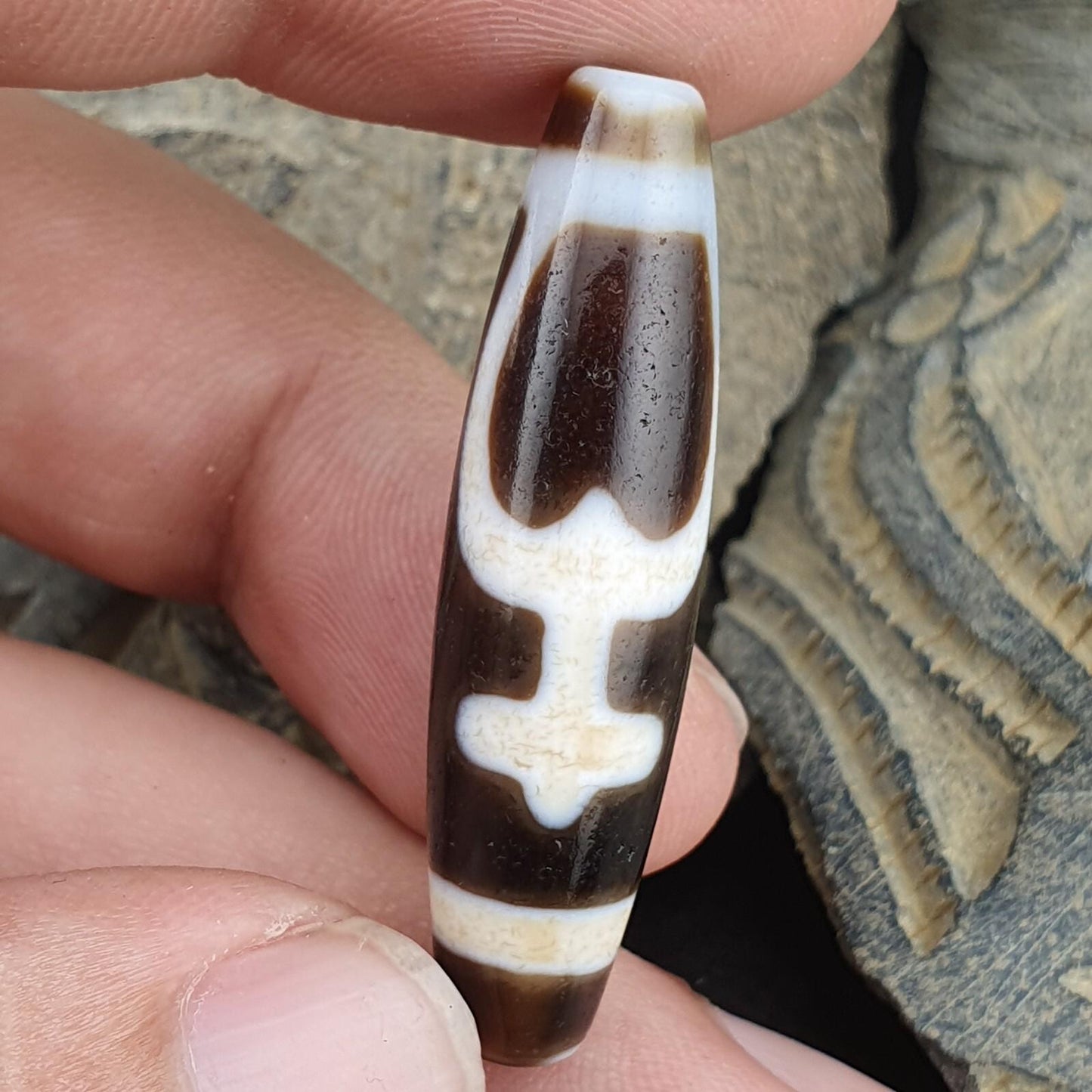Treasure vase totem tibetan old agate dzi bead amulet pendant