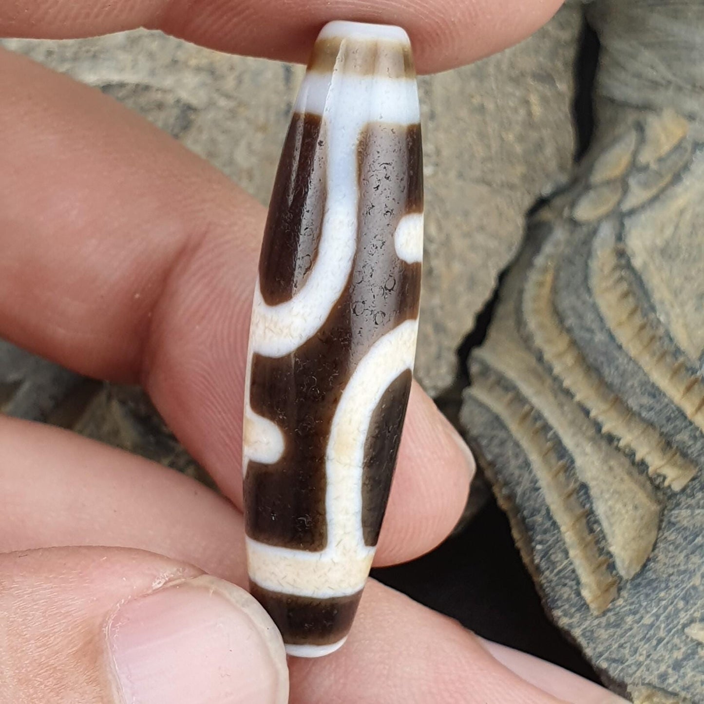 Treasure vase totem tibetan old agate dzi bead amulet pendant