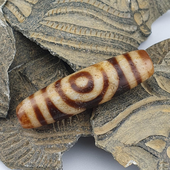 Himalayan tibetan agate dzi bead 2 eyes antique spiritual amulet