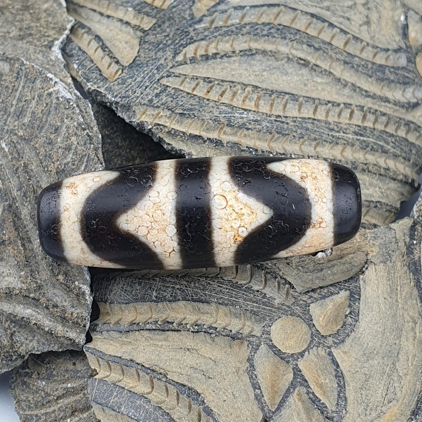 Himalayan tibetan dog tooth pattern agate dzi bead spiritual amulet bead