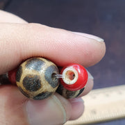 South Asian Burmese, Pumtek Petrified Wood Beads Lot - Ancient Pyu Artifacts, Museum-Grade, Assorted Sizes