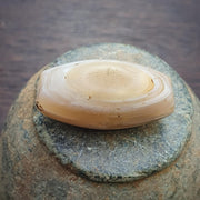 Antique ancient african yemeni eyes agate white agate stone bead amulet