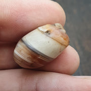 Ancient antique yemeni middle eastern agate natural pattern agate bead amulet #42