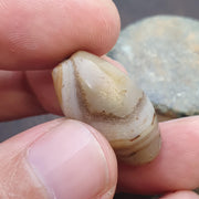 Ancient middle eastern yemeni african agate bead 1000+ years old