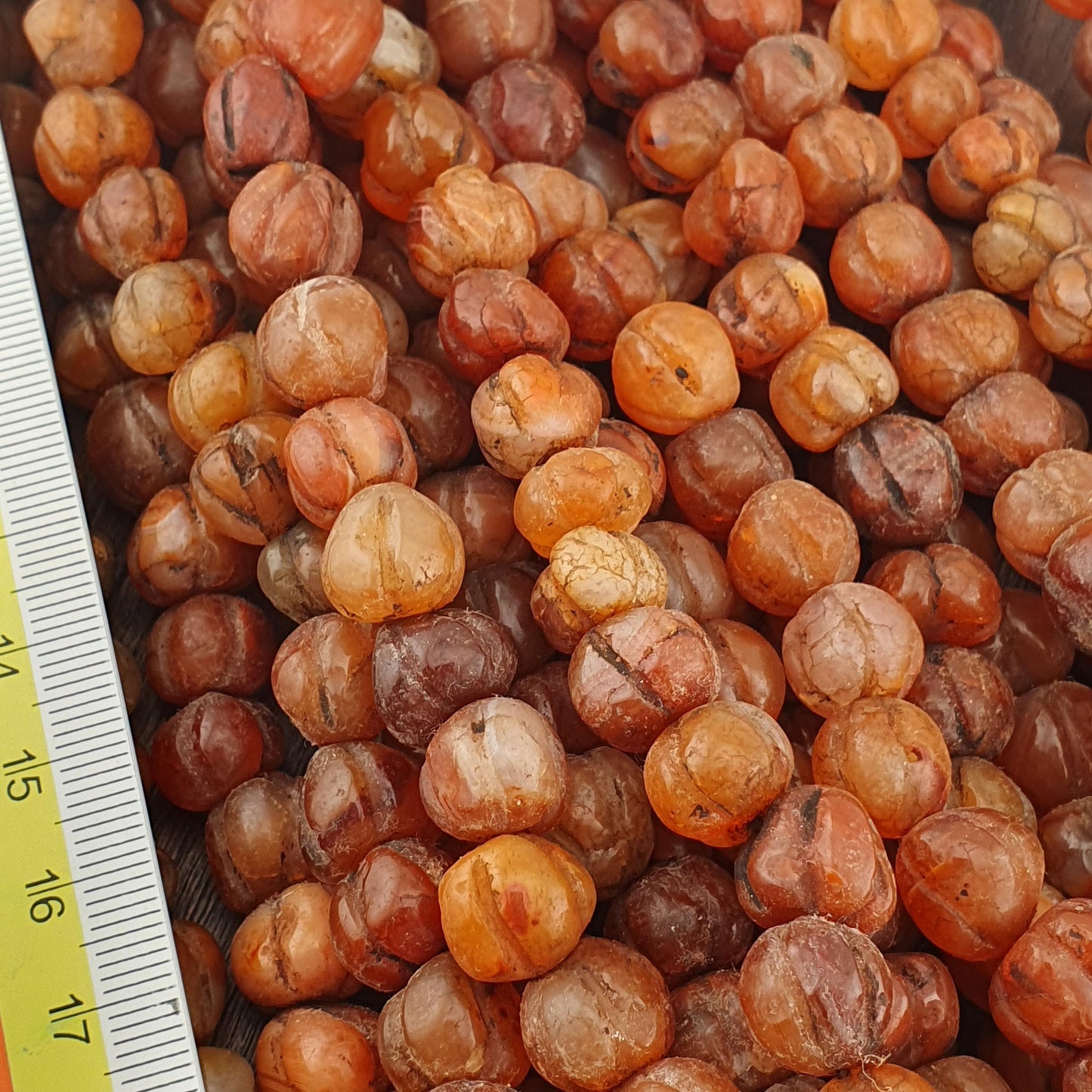 Vintage himalayan tibetan carnelian carved agate melon shape beaded necklace