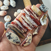 Lot 30 Pcs Agate Amulet Necklace: Beautiful patina carnelian Amulet Beads Pendants Necklace