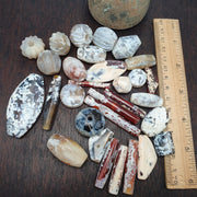 Lot 30 Pcs Agate Amulet Necklace: Beautiful patina carnelian Amulet Beads Pendants Necklace