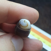 Antique yemeni middle eastern agate natural pattern agate bead amulet