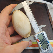 Huge Antique old african rare agate traded bead 78.9mm x 44.6mm