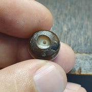Ancient Tibetan Himalayan Chung Dzi Agate Bead Rare Middle Eastern Antique agate