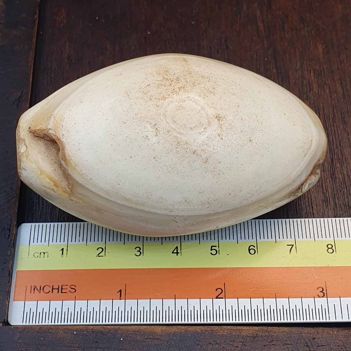 Huge Antique old african rare agate traded bead 78.9mm x 44.6mm