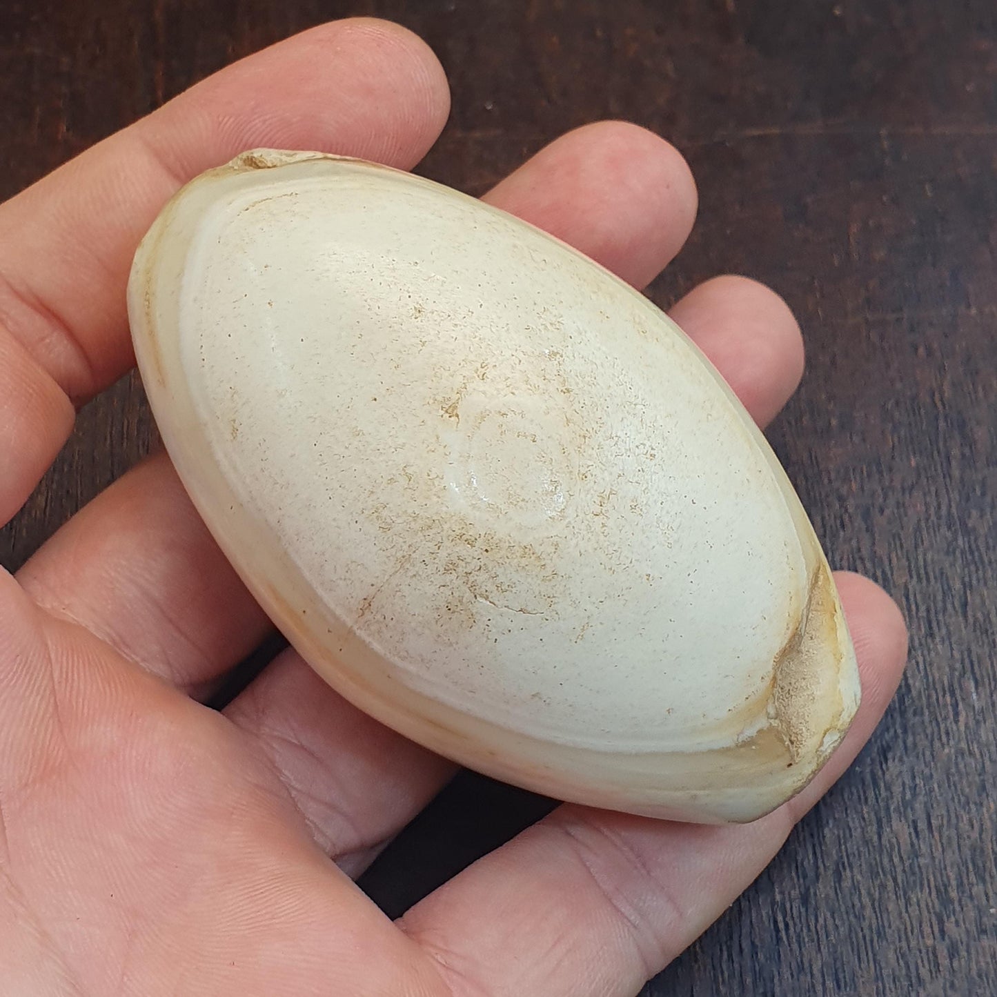 Huge Antique old african rare agate traded bead 78.9mm x 44.6mm