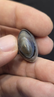 Antique ancient old himalayan indo tibetan 2 eye agate bead -svr-518