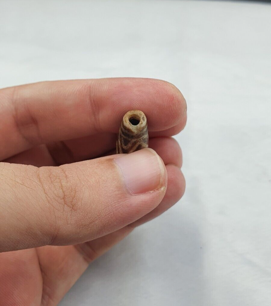 South Asian Burmese Antiques Trade Pumtek petrified Wood Beads Late 19 C. 31mm