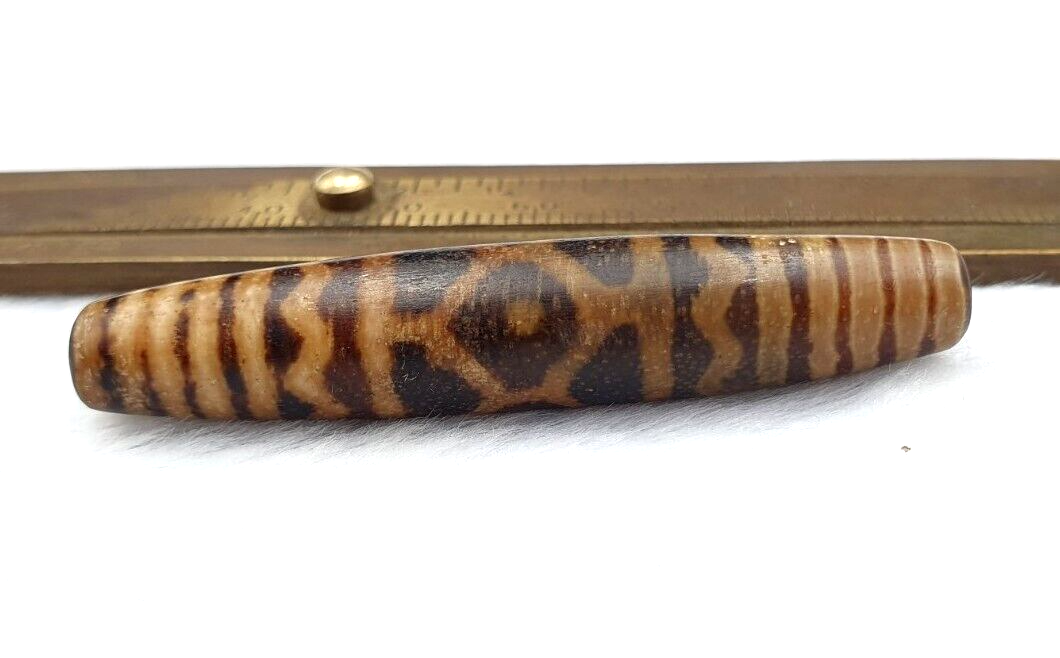 South Asian Burmese Antiques Trade Pumtek petrified Wood Beads Late 19 C. 52mm