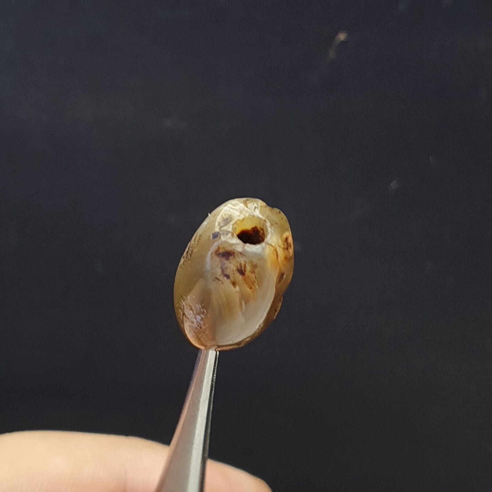 Ancient Sulaimany old Khorasan Bactrian agate stone unique Bead 18mm