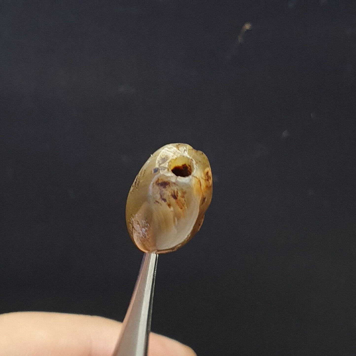 Antike Sulaimany alte Khorasan Bactrian Achat Stein einzigartige Perle 18mm