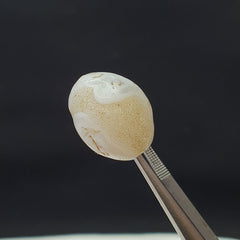 Ancient OLd Sulaimany Haqeeq Antique agate stone Bead Amulet 17mm From Pakistan