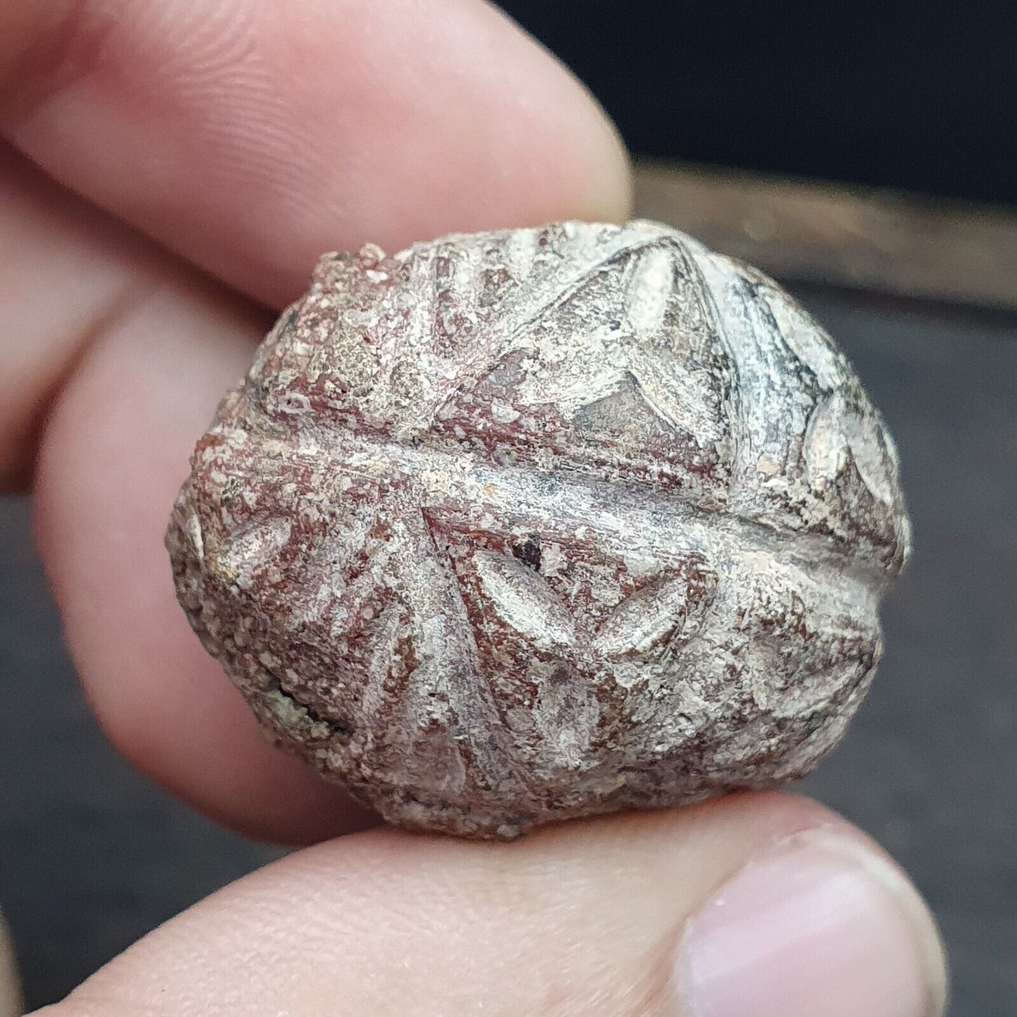 批次 2 古代喜馬拉雅稀有玉石和黑石雕刻大珠