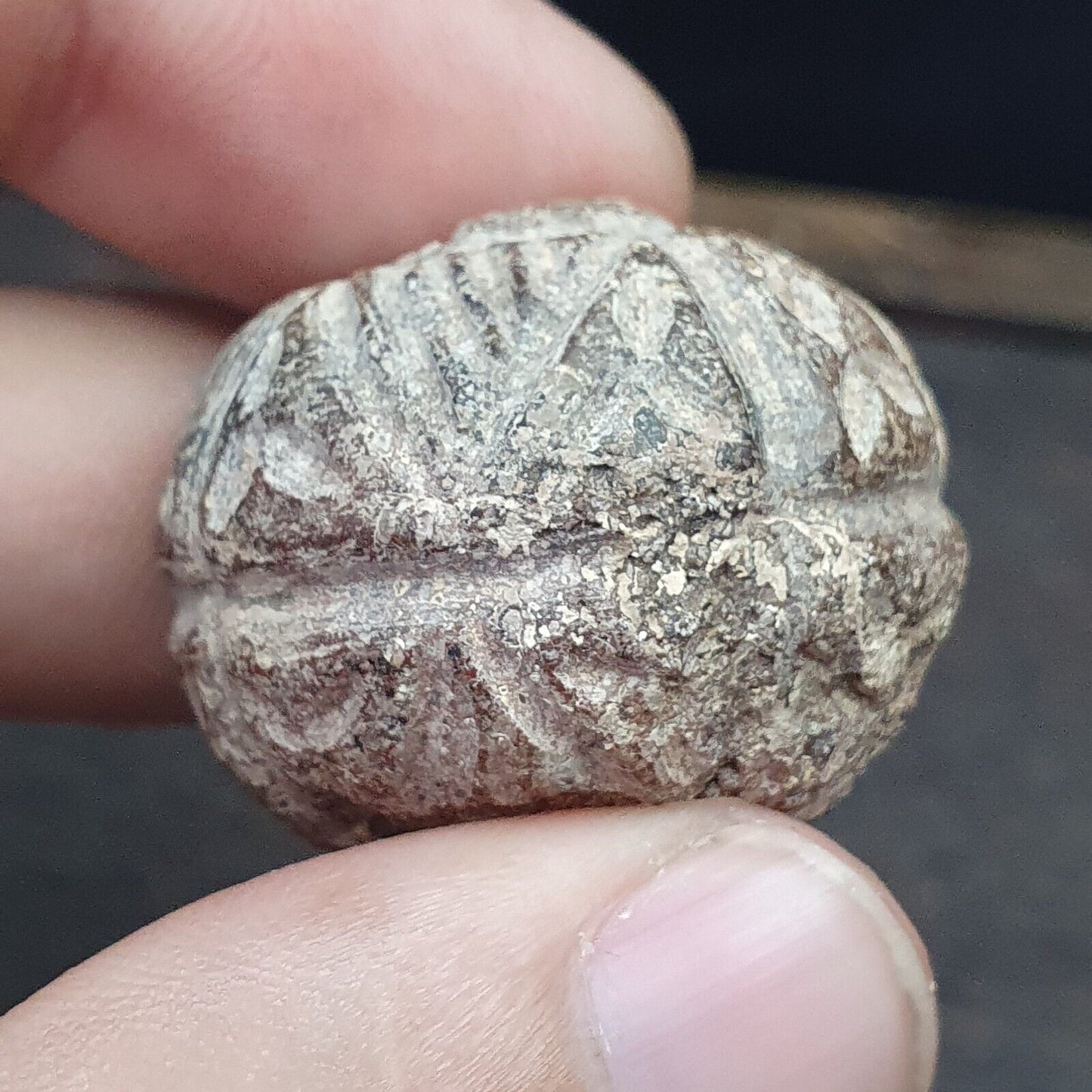批次 2 古代喜馬拉雅稀有玉石和黑石雕刻大珠