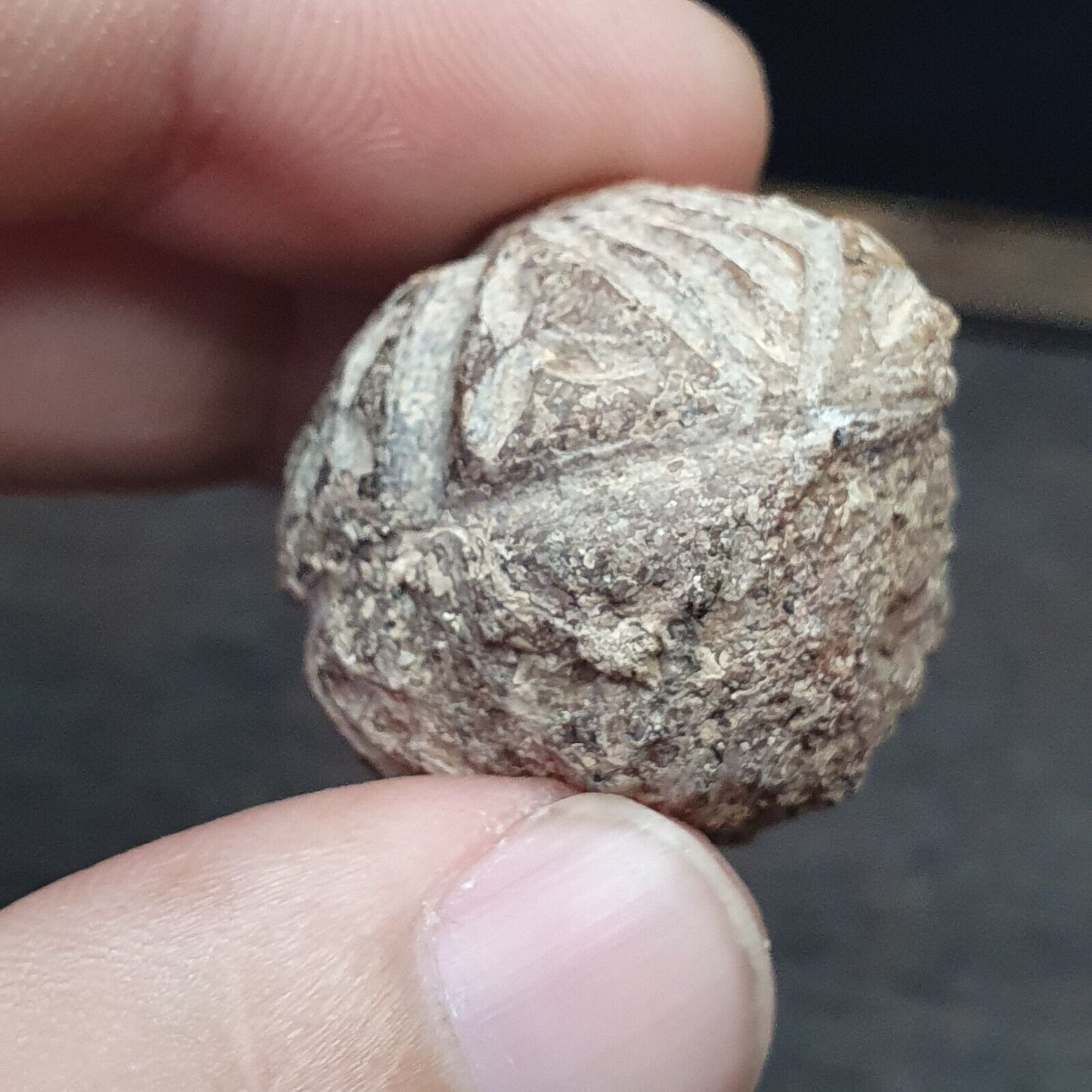 批次 2 古代喜馬拉雅稀有玉石和黑石雕刻大珠