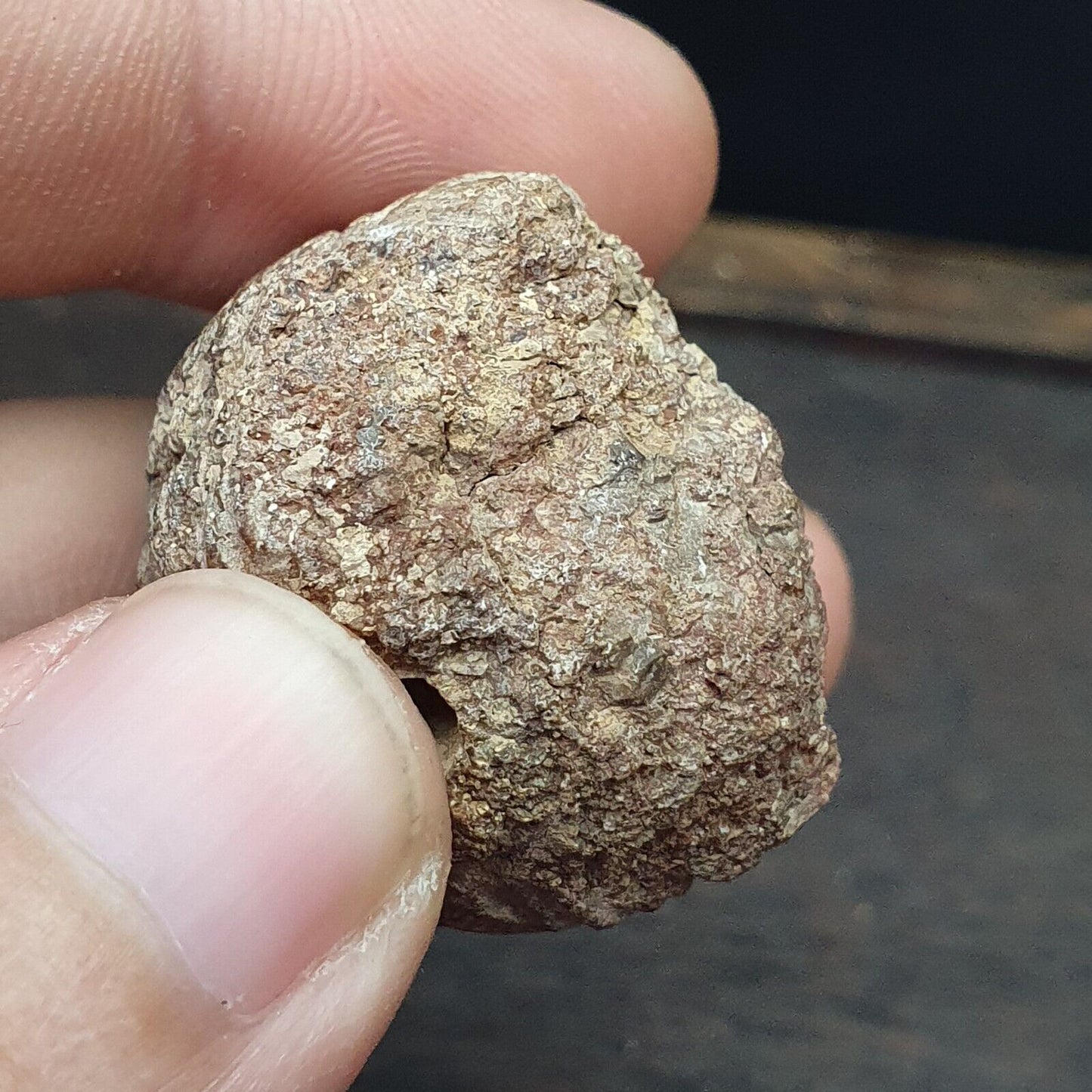 批次 2 古代喜馬拉雅稀有玉石和黑石雕刻大珠