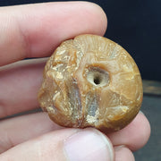 East Oasis Ancient Himalayan Rare Jade and Black Stone Engraved Big Beads, Lot of 2