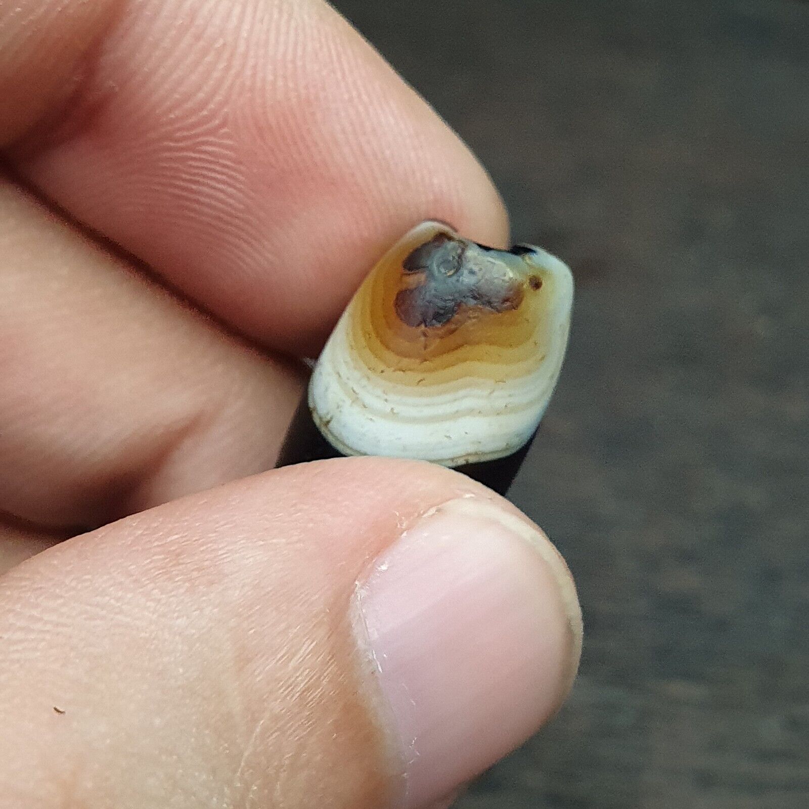 Lot 3 Ancient Himalayan Indo rare Agate Beads 2000+ years Old