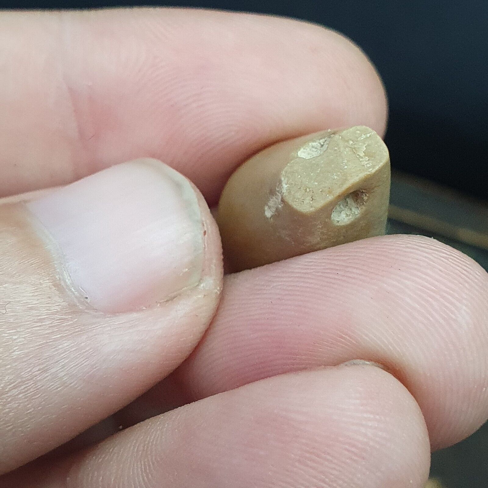 Lot 4 Old Seal Stamp Engraved Stone Bead Ancient Achaemenid Babylon Sasanian