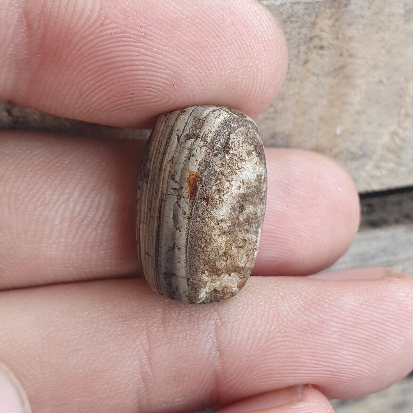 來自巴基斯坦的古代呼羅珊古董眼瑪瑙石珠護身符
