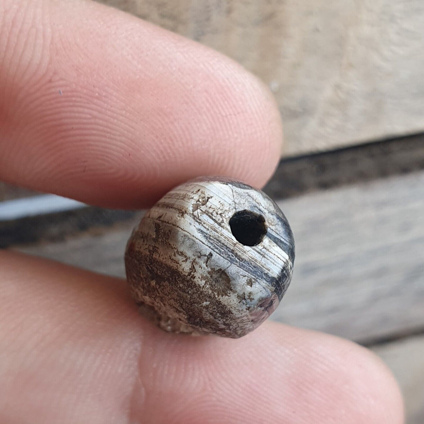 來自巴基斯坦的古代呼羅珊古董眼瑪瑙石珠護身符