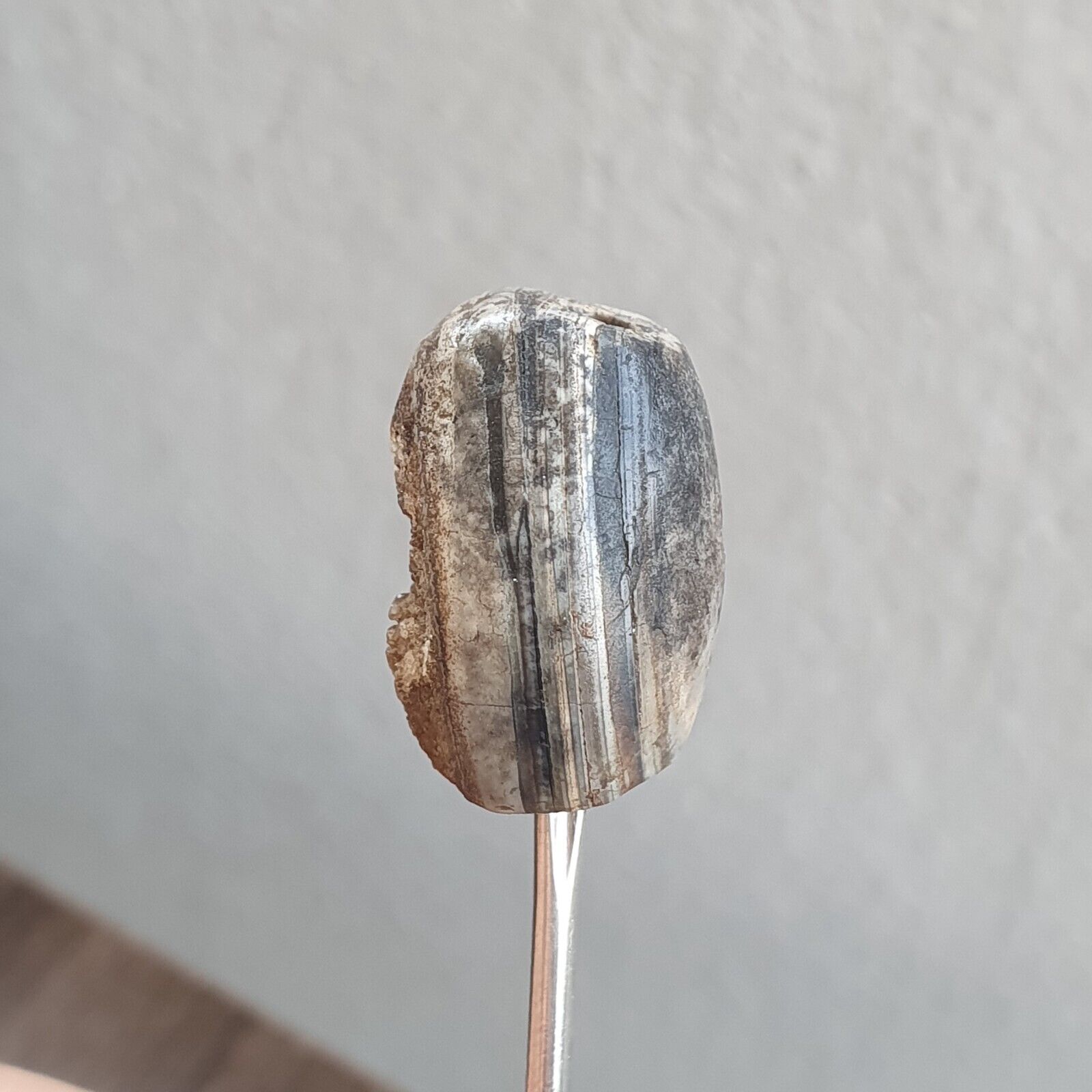 Ancient Khorasan Antique eye agate stone Bead Amulet From Pakistan
