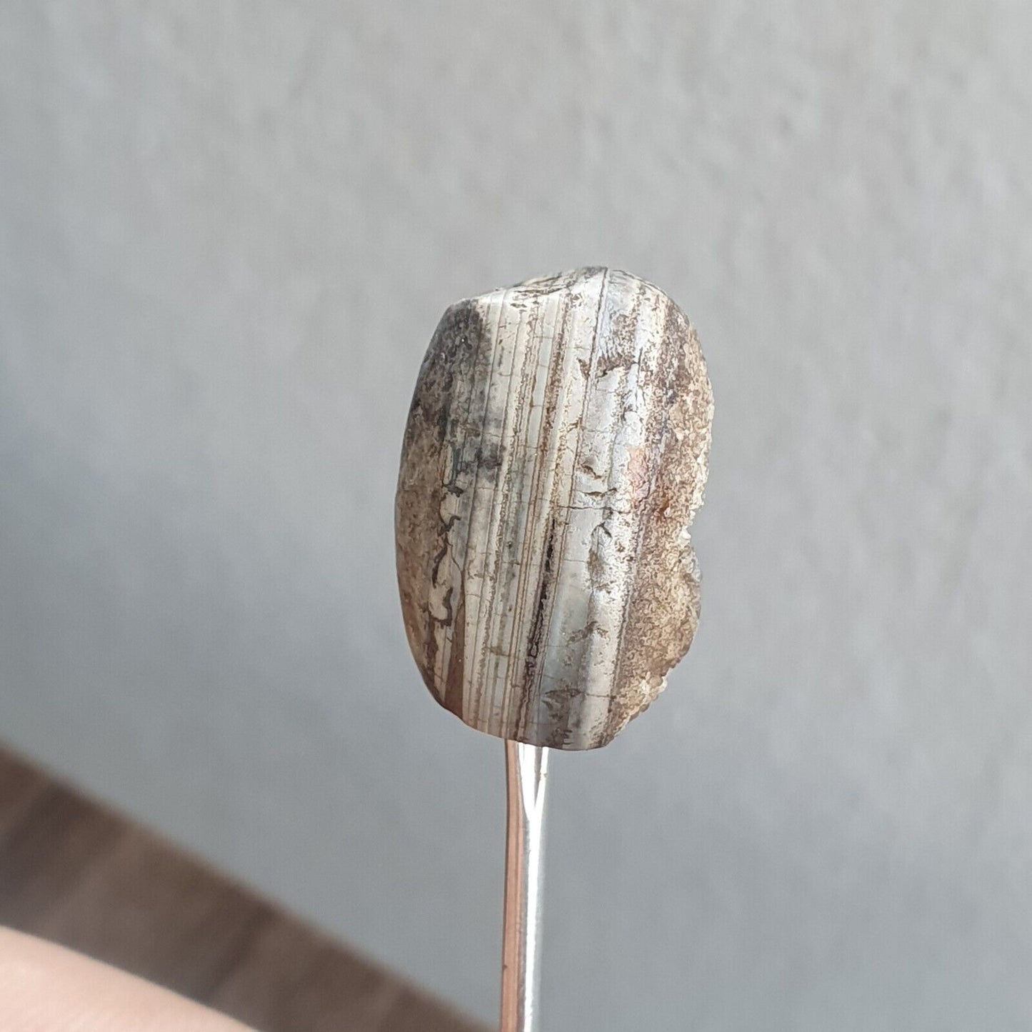 來自巴基斯坦的古代呼羅珊古董眼瑪瑙石珠護身符