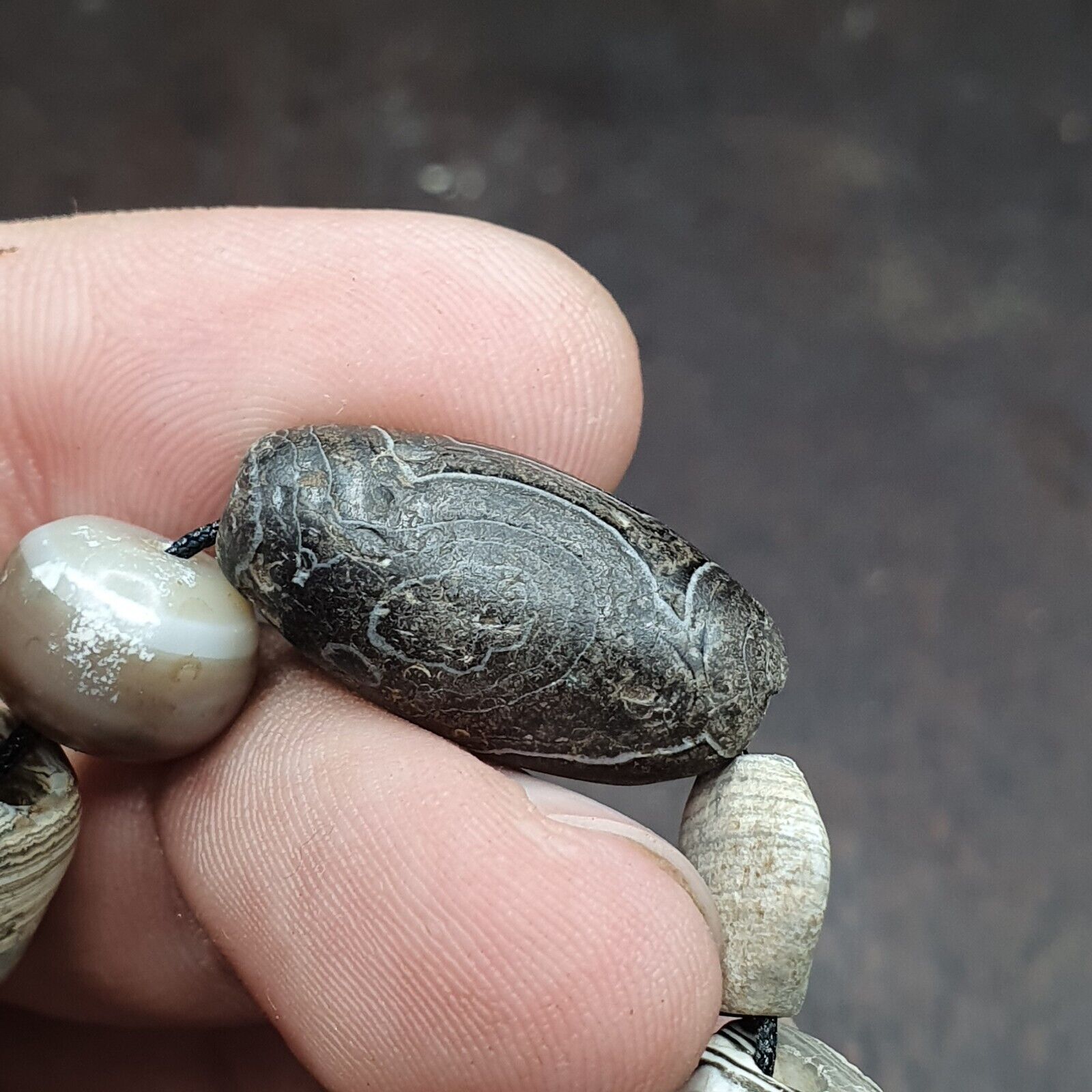 Ancient Bactrians Beads Lot