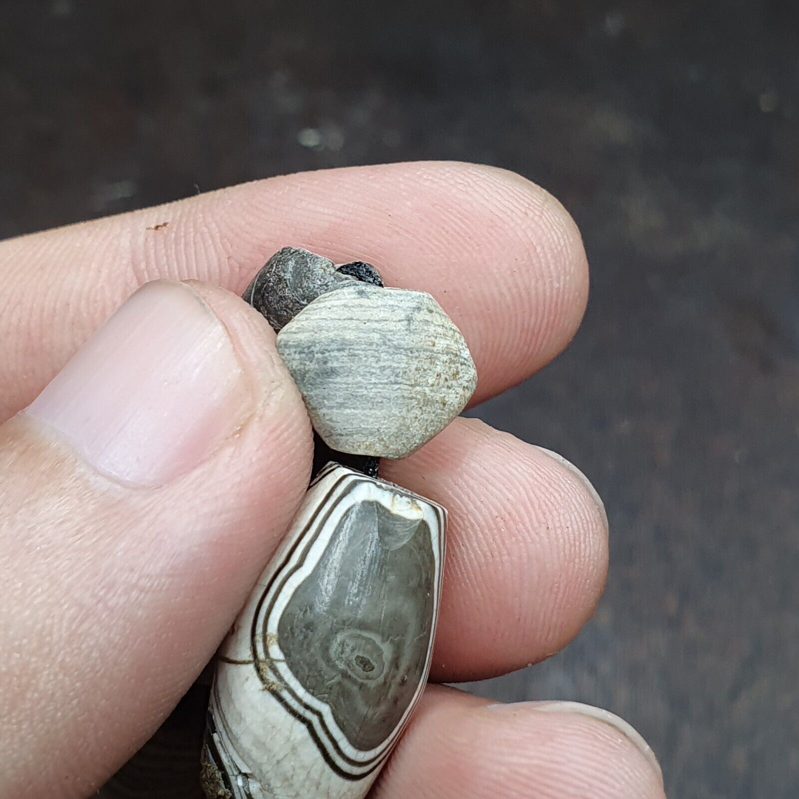 Ancient Bactrians Beads Lot