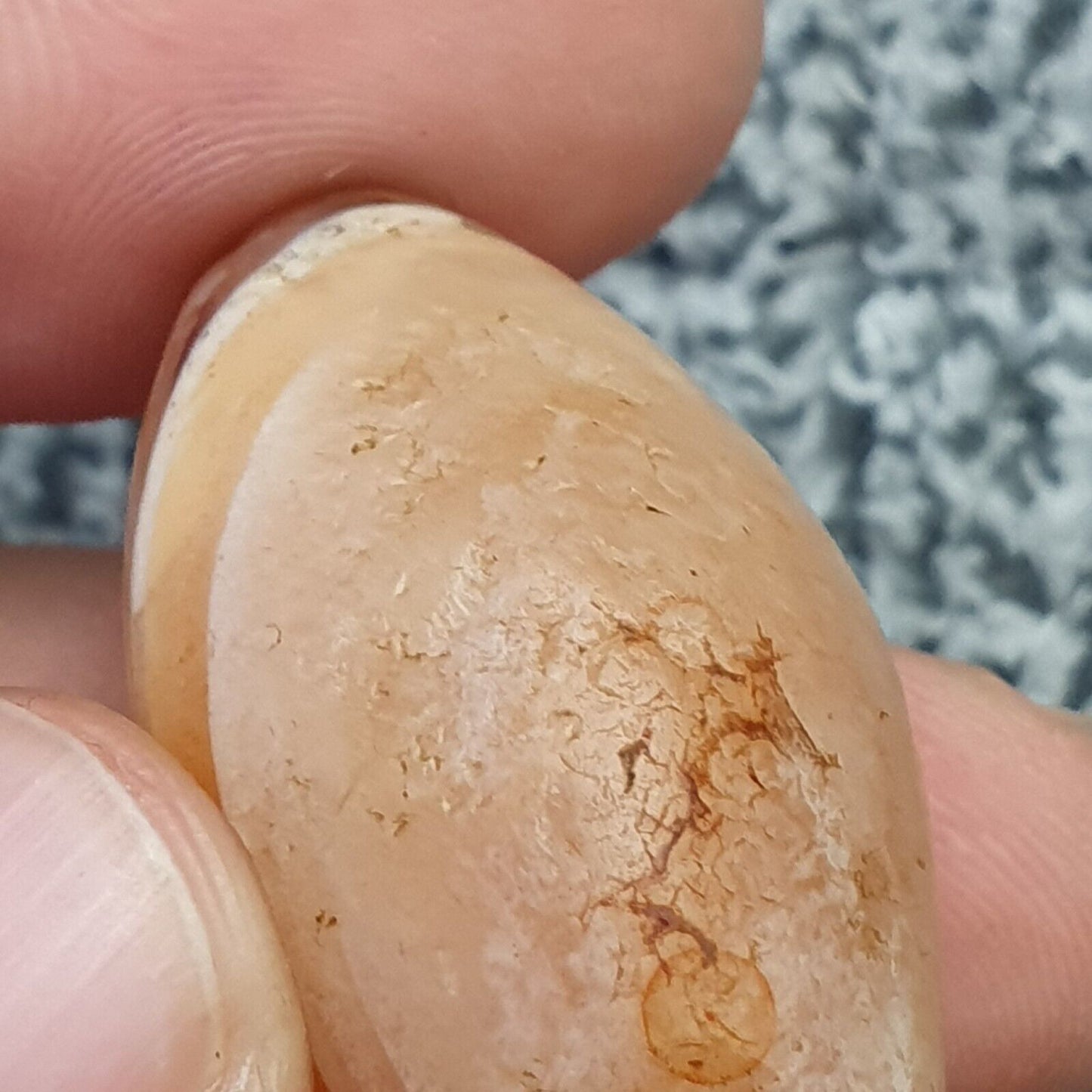 Antikes altes nahöstliches altes Achat-Stein-Amulett mit Augenperle