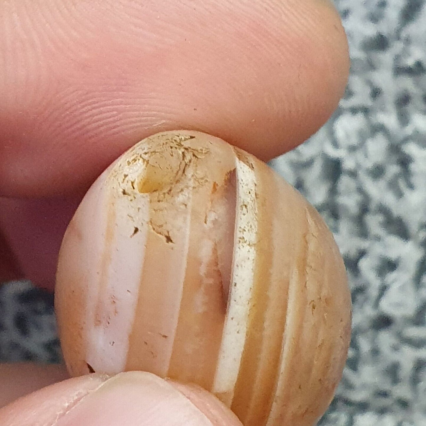 Antikes altes nahöstliches altes Achat-Stein-Amulett mit Augenperle