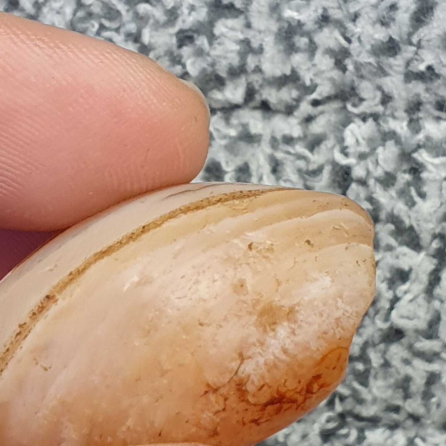 Antikes altes nahöstliches altes Achat-Stein-Amulett mit Augenperle