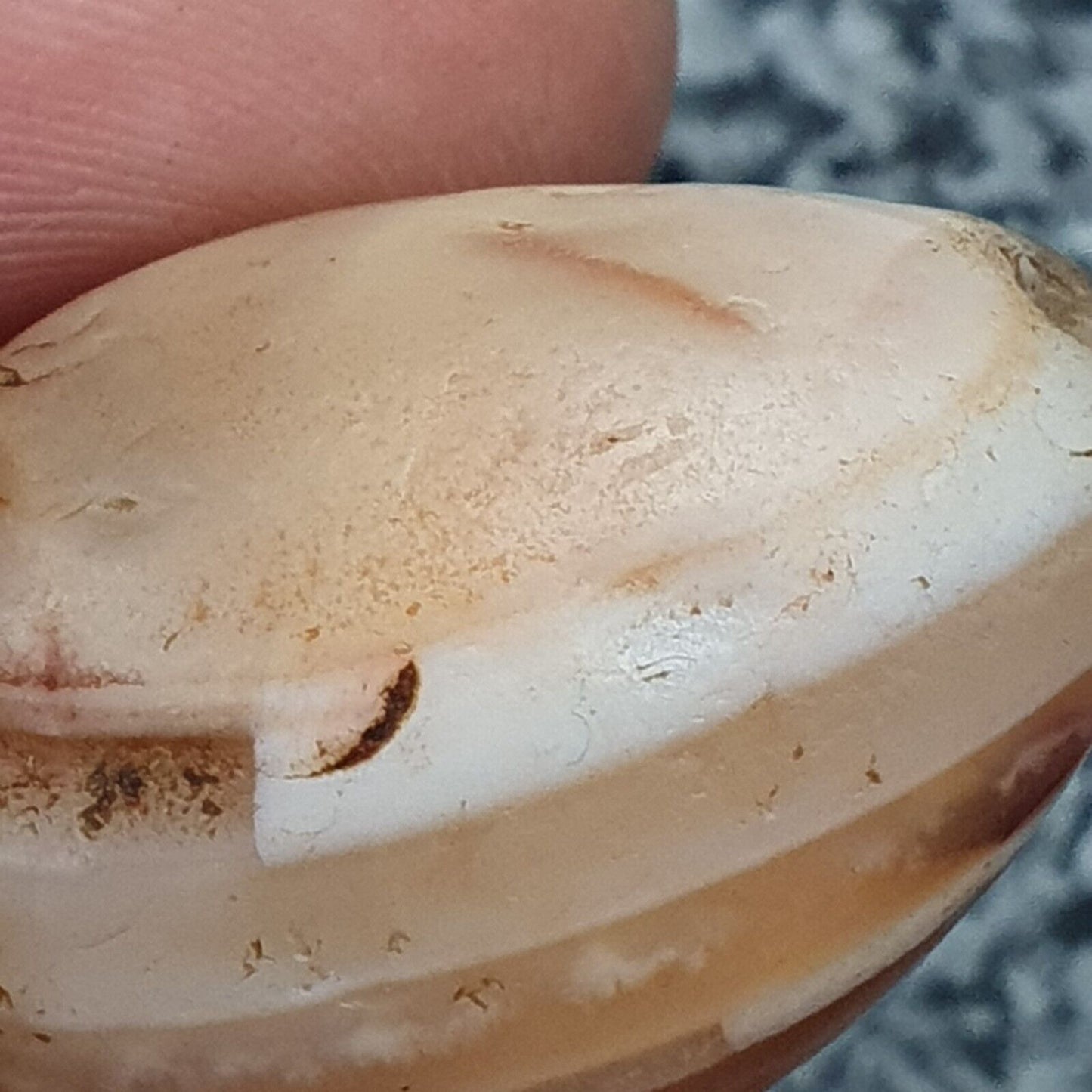 Antikes altes nahöstliches altes Achat-Stein-Amulett mit Augenperle